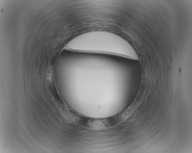 X0000068320129200604211021