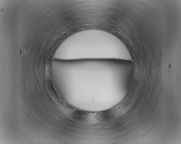X0000068320130200604211021