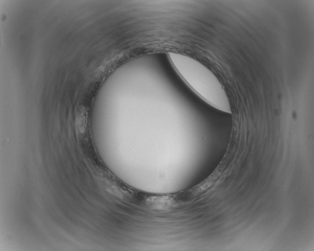 X0000068320133200604211021