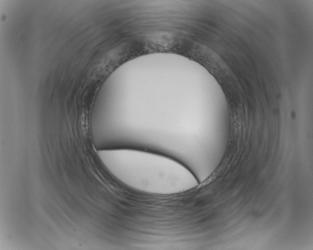 X0000068320134200604211021