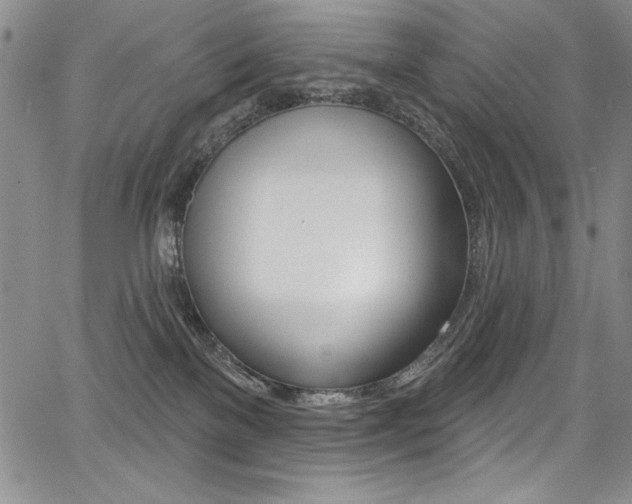 X0000068320137200604211021