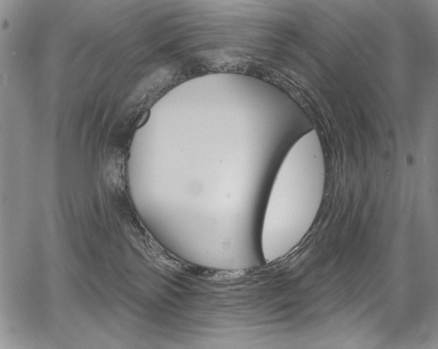 X0000068320138200604211021