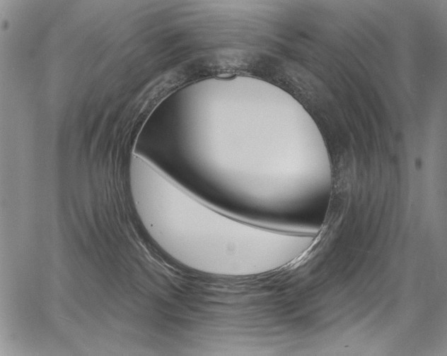 X0000068320140200604211021