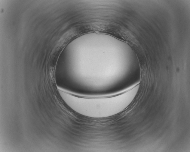 X0000068320141200604211021