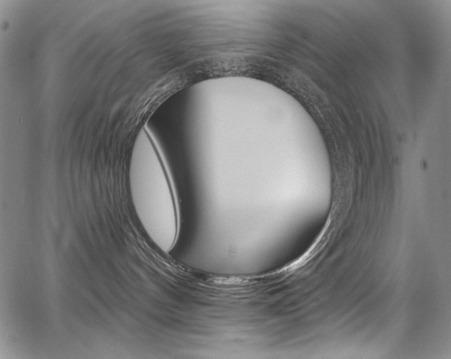 X0000068320144200604211021