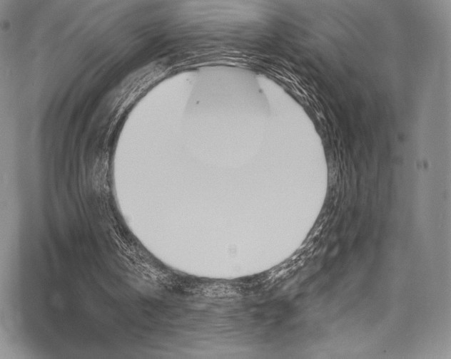 X0000068320146200604211020