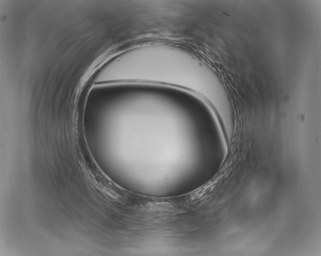 X0000068320150200604211020