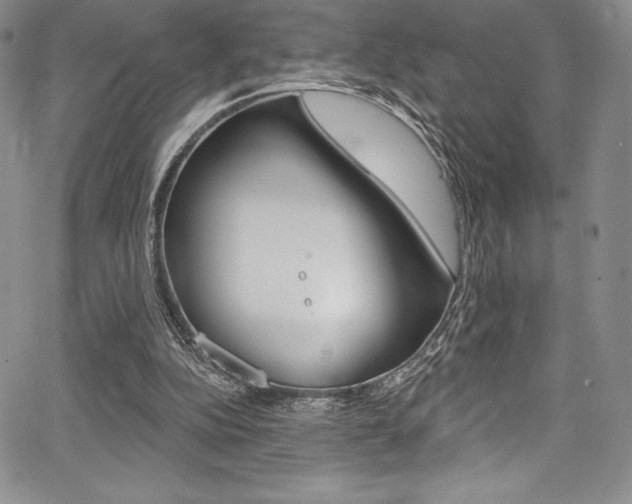 X0000068320152200604211020