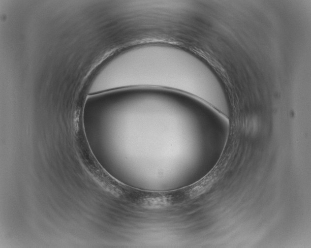 X0000068320160200604211020