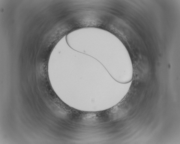 X0000068320162200604211021