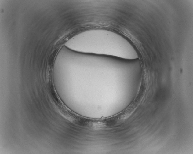 X0000068320165200604211021
