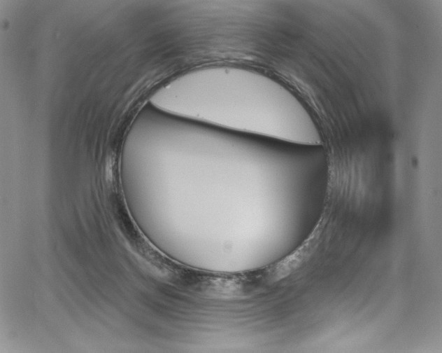 X0000068320166200604211021