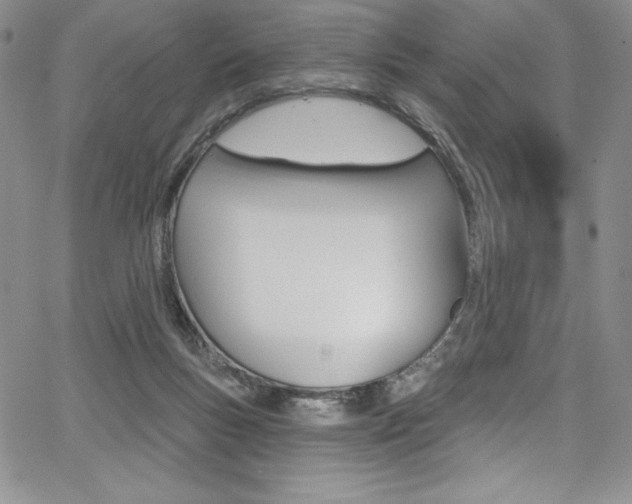 X0000068320167200604211021