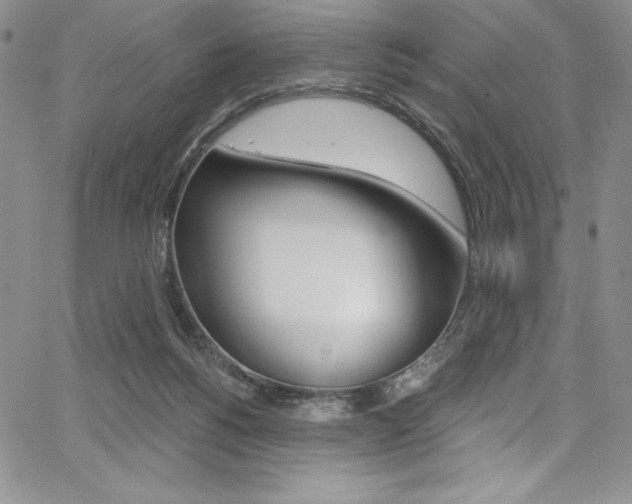 X0000068320168200604211021