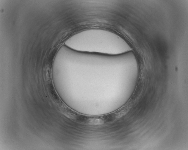 X0000068320169200604211021