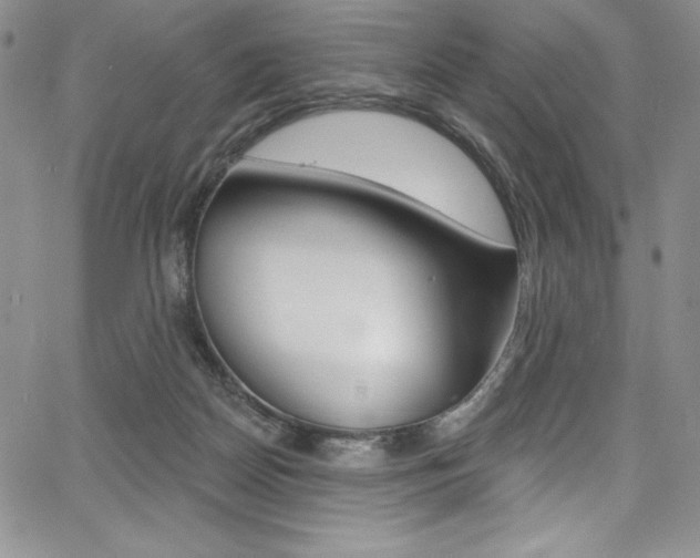 X0000068320170200604211021
