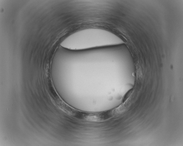 X0000068320171200604211021