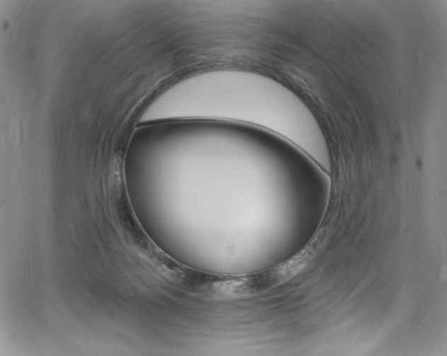 X0000068320172200604211021