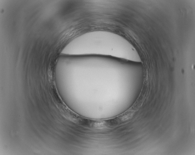 X0000068320173200604211021