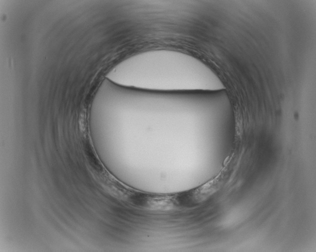 X0000068320175200604211021