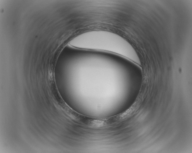 X0000068320176200604211021