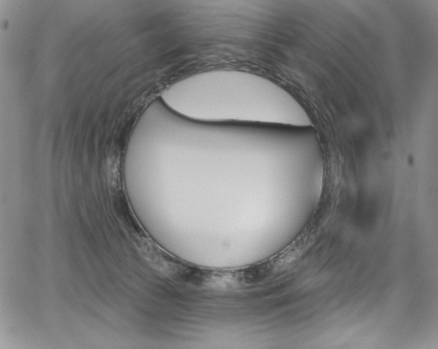 X0000068320177200604211021