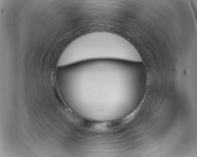 X0000068320178200604211021