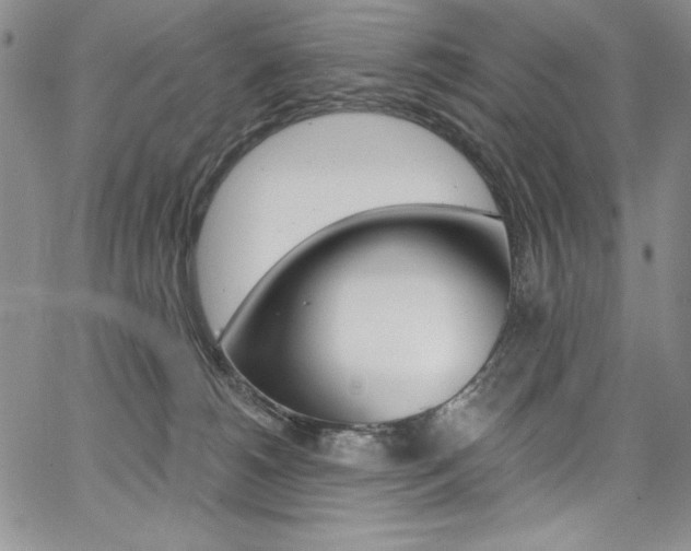 X0000068320180200604211021