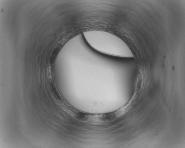 X0000068320182200604211021