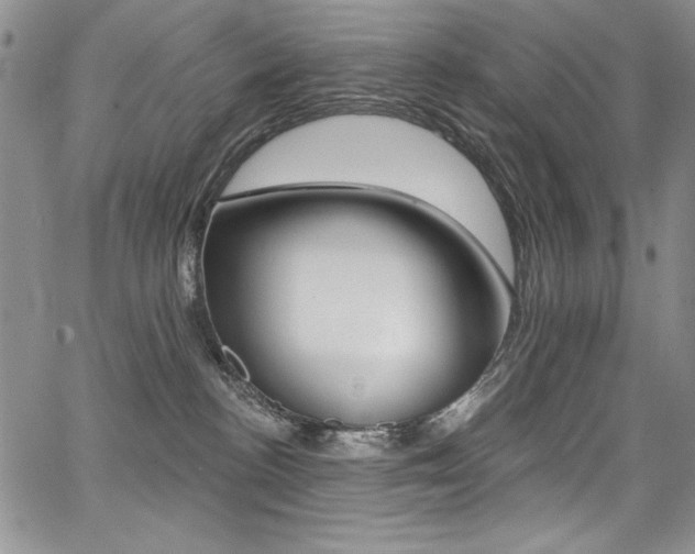 X0000068320188200604211021