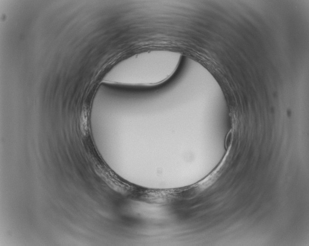 X0000068320190200604211021