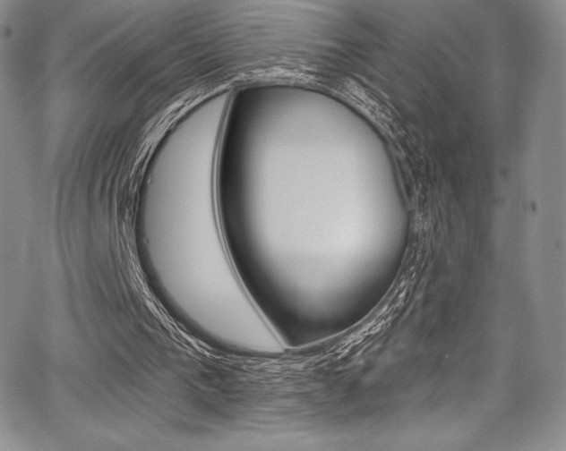 X0000068320193200604211020
