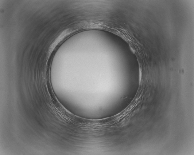 X0000068320195200604211020