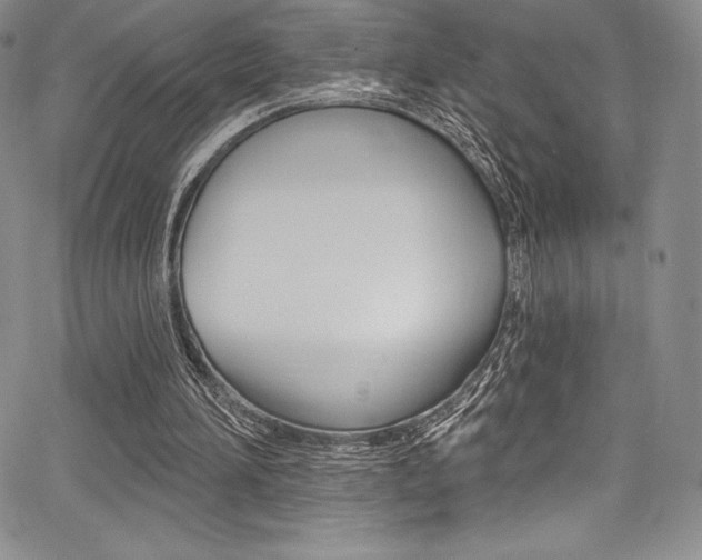 X0000068320196200604211020