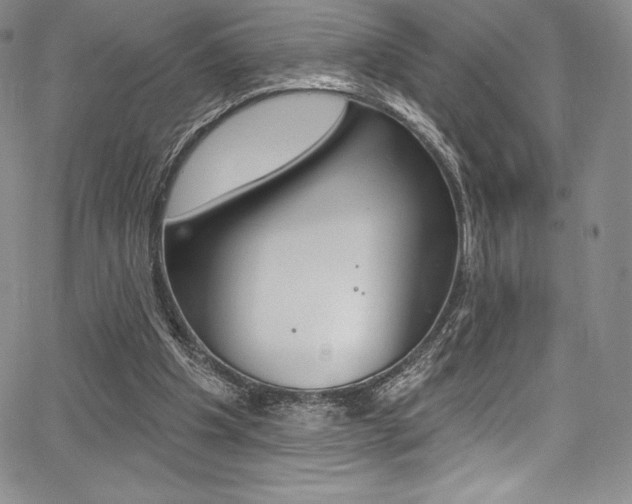 X0000068320201200604211020