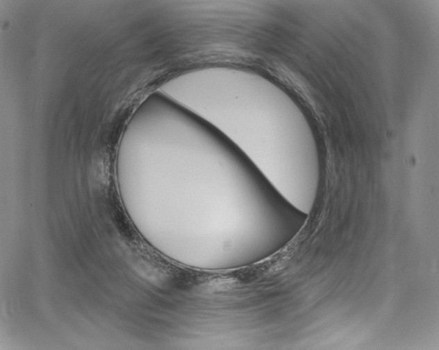 X0000068320210200604211020
