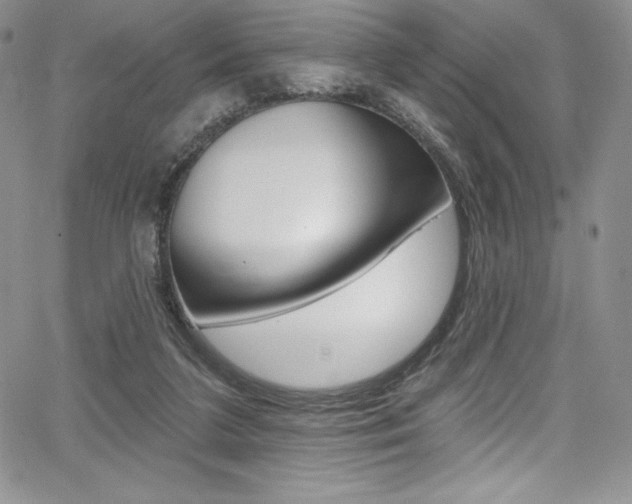 X0000068320211200604211020
