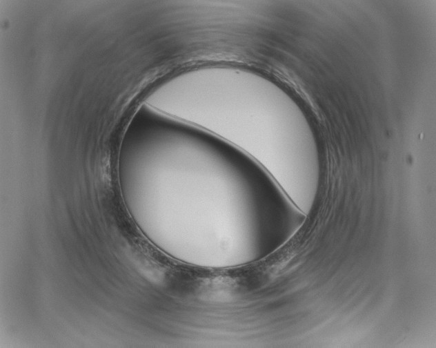 X0000068320212200604211020