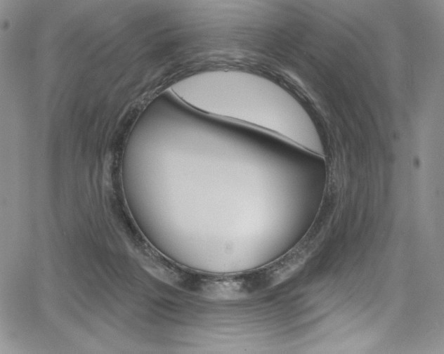 X0000068320217200604211020
