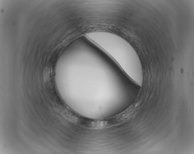 X0000068320225200604211020