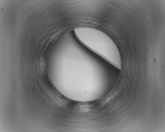 X0000068320228200604211020