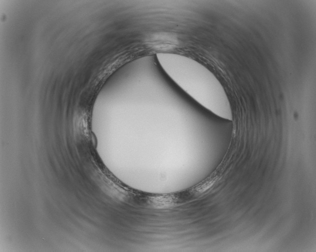 X0000068320238200604211019