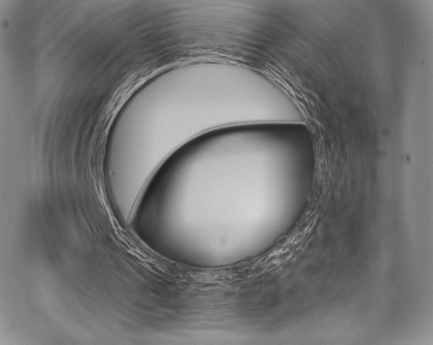 X0000068320241200604211019