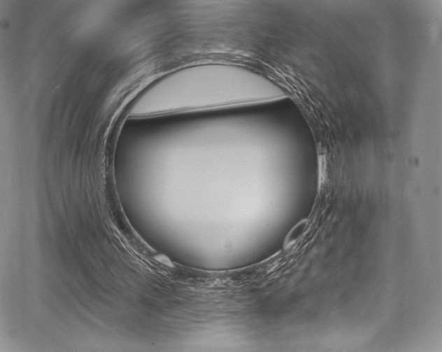 X0000068320243200604211019