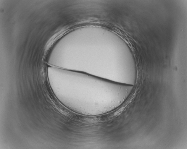 X0000068320245200604211019