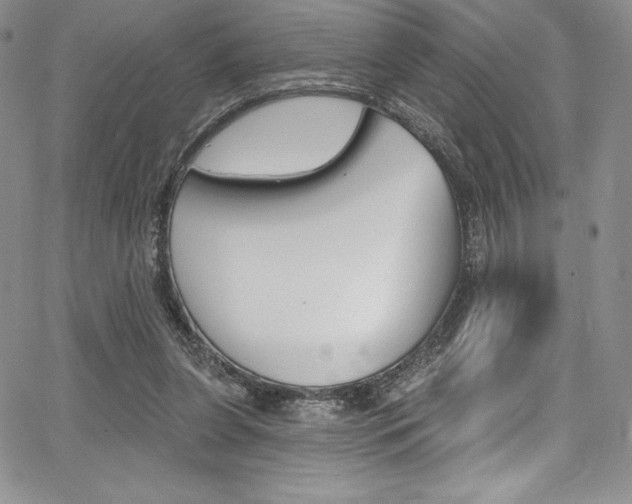 X0000068320255200604211019