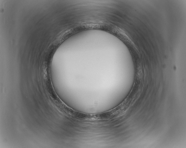 X0000068320259200604211019