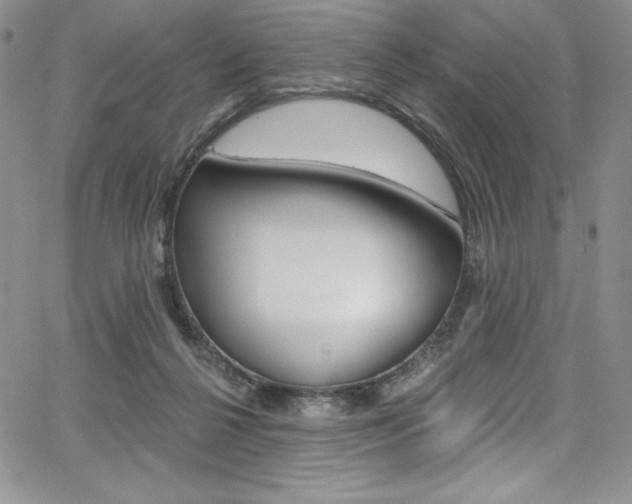 X0000068320264200604211019