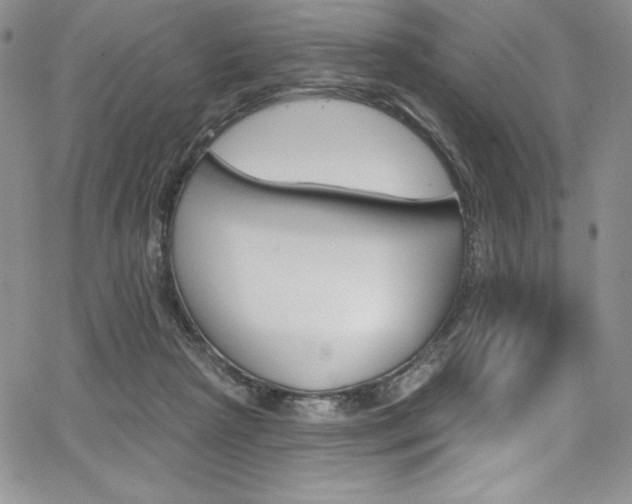 X0000068320265200604211019