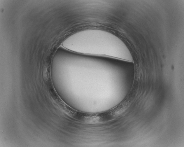 X0000068320266200604211019